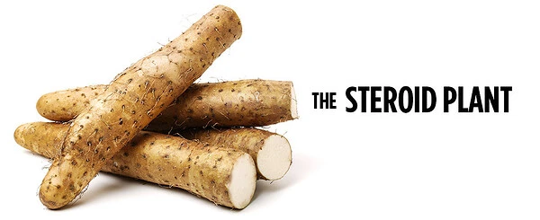 The Remarkable Health Benefits of Diosgenin