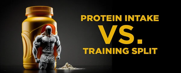 Post-Workout Protein: How Much You Need